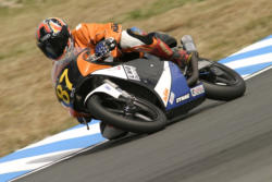Germany 2004 (PGR)